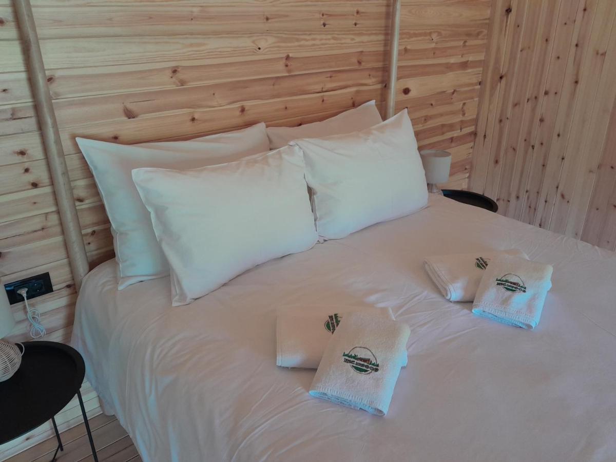 Nica Wood Villa Sremska Kamenica ภายนอก รูปภาพ