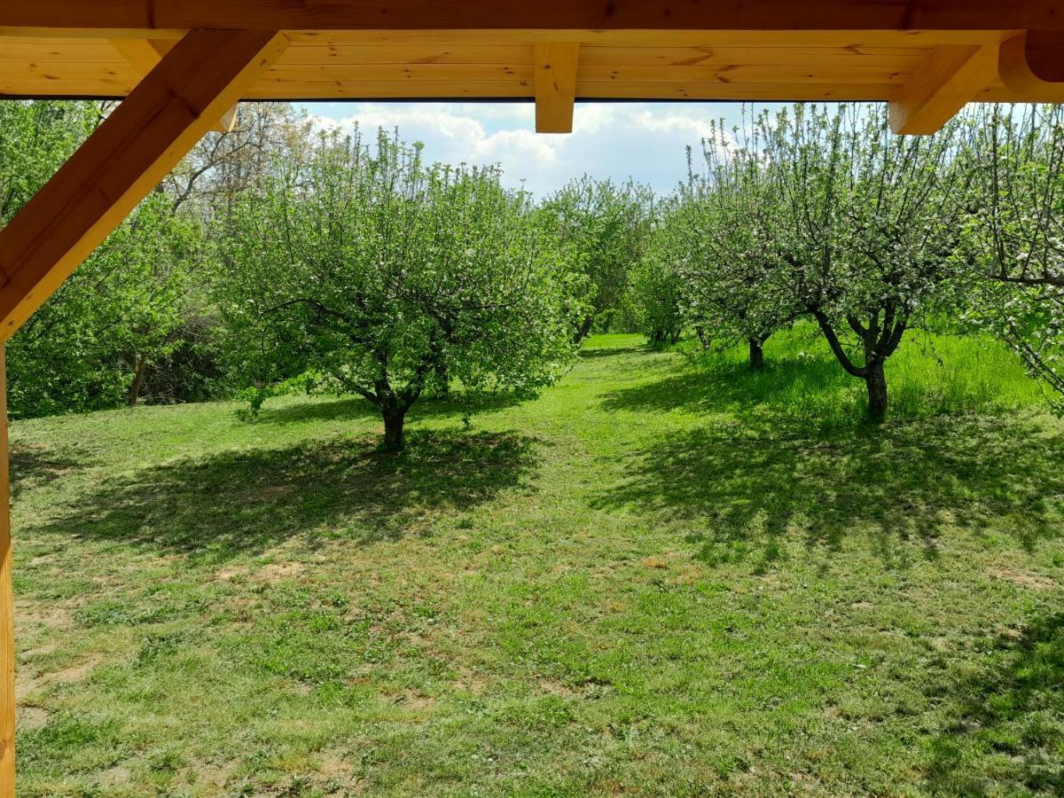 Nica Wood Villa Sremska Kamenica ภายนอก รูปภาพ