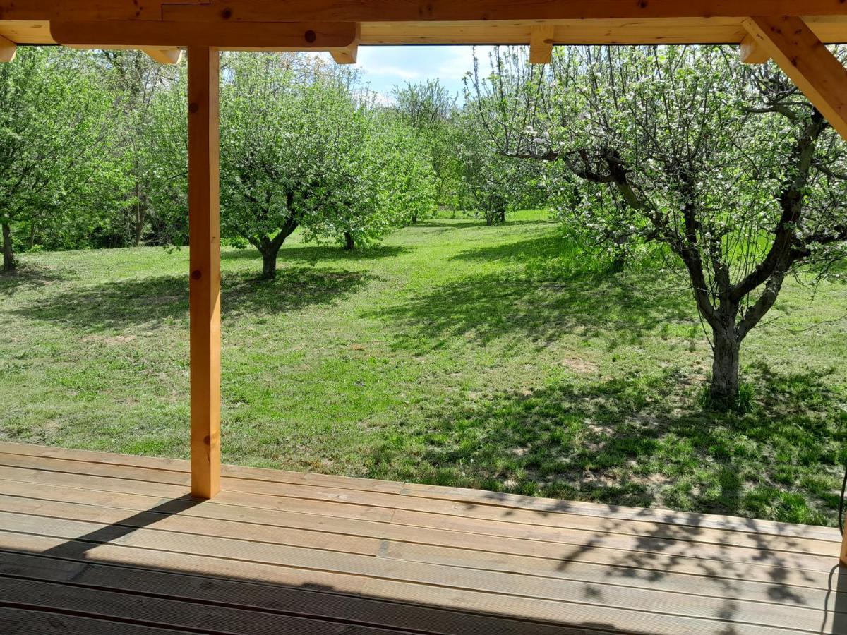 Nica Wood Villa Sremska Kamenica ภายนอก รูปภาพ