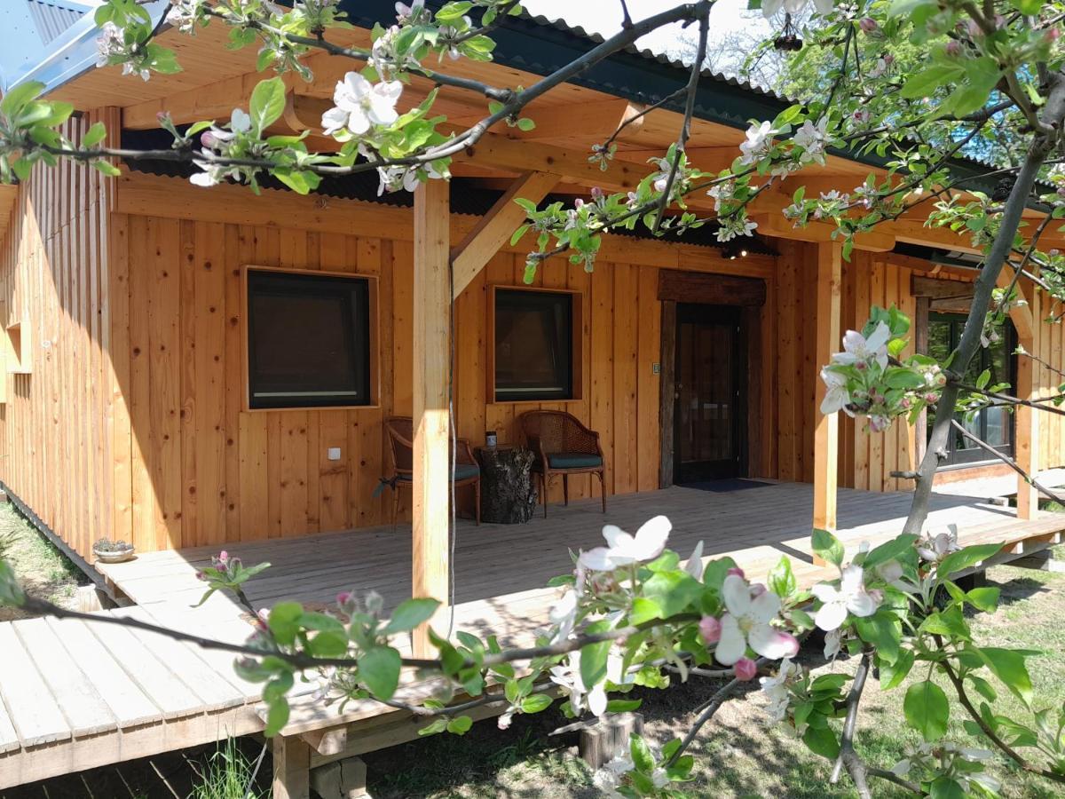 Nica Wood Villa Sremska Kamenica ภายนอก รูปภาพ