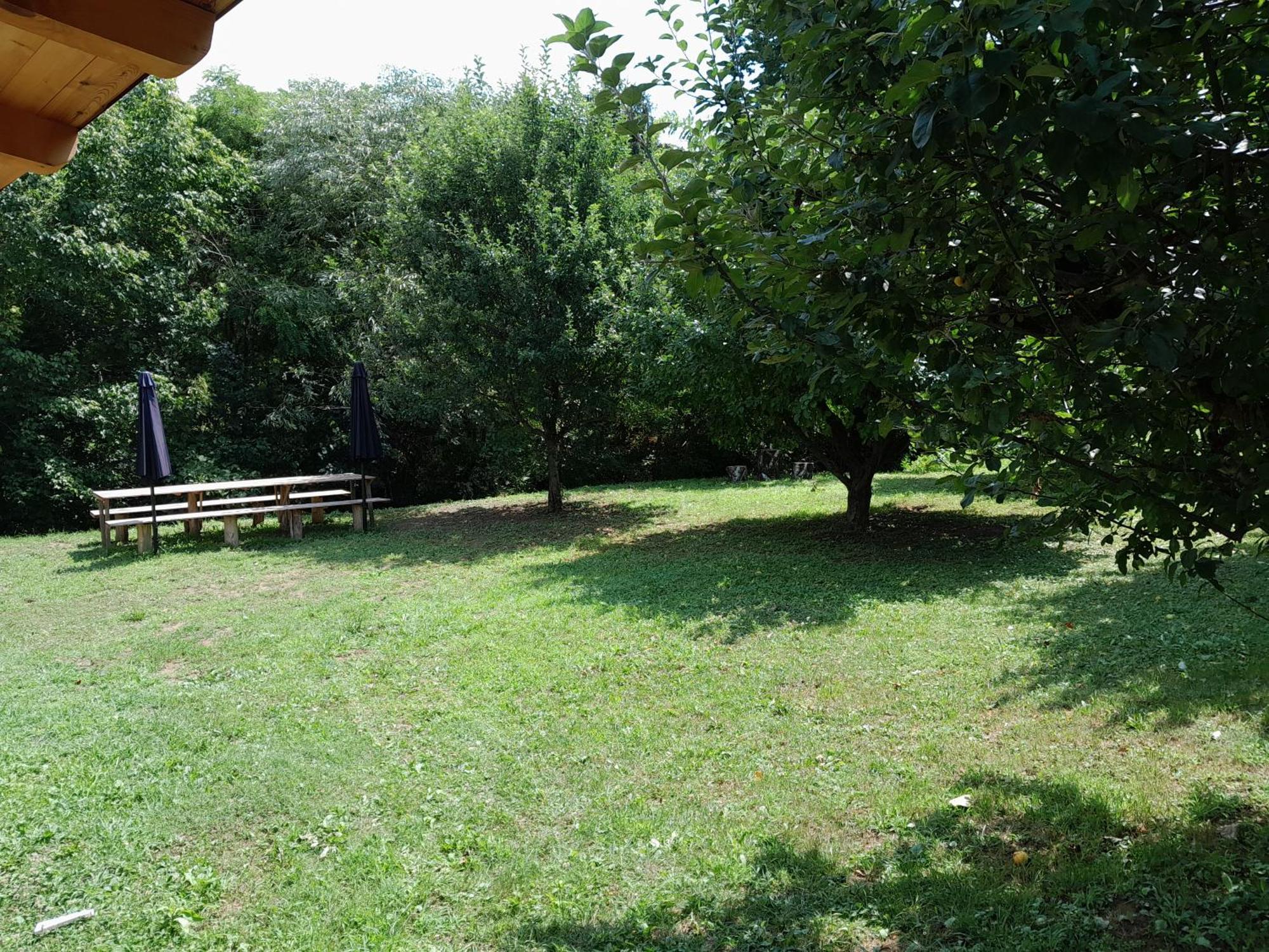 Nica Wood Villa Sremska Kamenica ภายนอก รูปภาพ