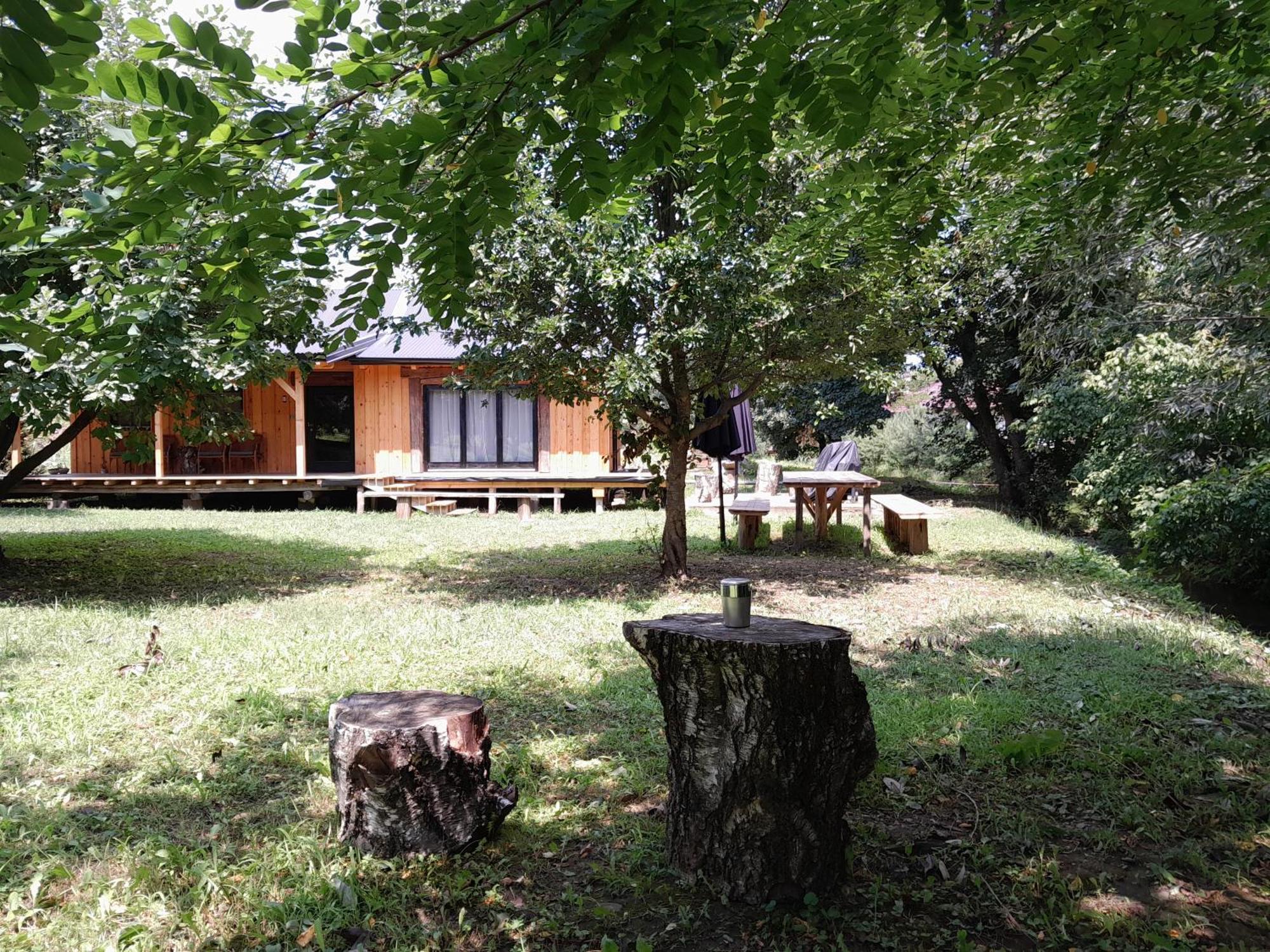 Nica Wood Villa Sremska Kamenica ภายนอก รูปภาพ
